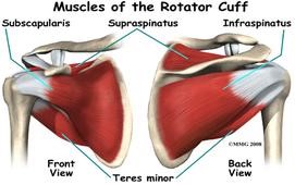 Physical Therapy For The Treatment Of Rotator Cuff Tears